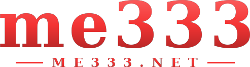 me333 logo